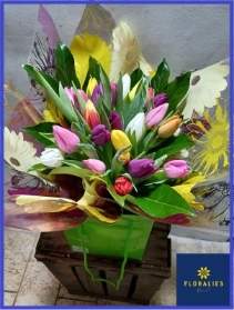 Tulips in colour Hand tied
